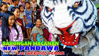 BARONGAN MACANAN NEW PANDAWA LIVE WERDOYO DEMAK