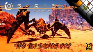 Osiris: New Dawn игра про выживание | строим жилище