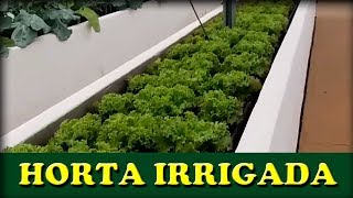 Como fazer uma horta no quintal - Como fazer horta organica - Horta o que plantar