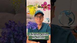 5 Árboles Bellos No Nativos🌸🌺‼️ #árboles #plantas #vivero #jardin #flores #jardines #reforestacion