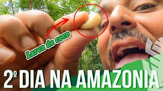 Comemos Uma Larva Viva na Amazônia - 2º Dia Dormindo na Floresta