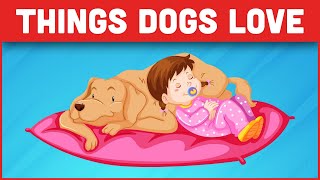 10 Things Dogs Love The Most