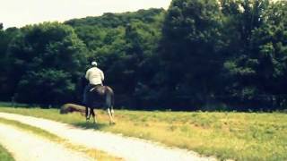 Cantering the Shire Cross