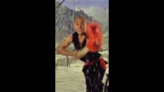 Jet Li Shaolin Powerful Spear Kung Fu #shorts