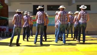 Untamed Line Dance