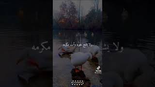 حالات واتس اب //دعاء عظيم ❤️❤️