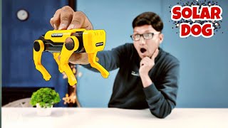 Solar Electric Mechanical Dog - Unboxing and Review - Peephole View Toys