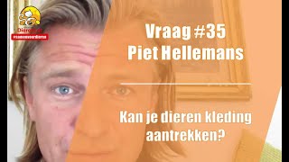 Vraag #35 DierenLot - Piet Hellemans - Is het verantwoord om dieren kleding aan te trekken?