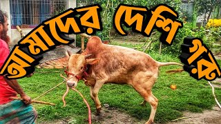 দেশি ষাড় চমচম আর কালোজাম || Purbasha Agro