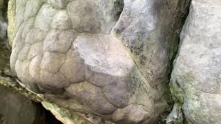 signs of wet sandstone - look, feel and sound