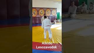 aikido