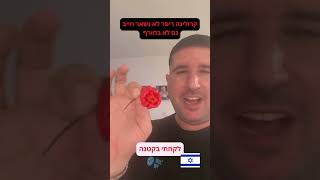 קרולינה ריפר אדום🌶️אומנם בחורף אבל עדיין חריף מאוד 🌶️