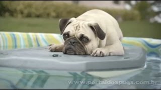 Fido - Comercial de TV - Propaganda com Pug