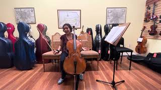 Play your Cello With Physical Distractions!