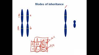 Biochemistry Genetic