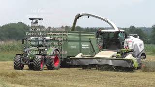 Die Raubkatze ist wieder unterwegs Claas Jaguar 970 beim Triticale Ernten  kommt IKT  Biogas Anlage