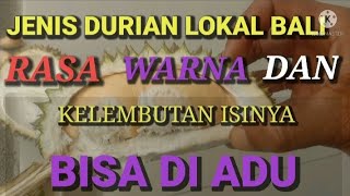 DURIAN SUPER,, LOKAL BALI