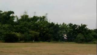 align trex 250se Crash  **TW_DL RC/Heli_Club**