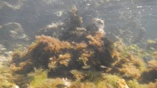 Biscayne National Park: Convoy Point