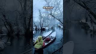 5 Days 4 Nights Kashmir Tour Package | Delhi to Srinagar, Gulmarg & Pahalgam | Best Kashmir Holiday