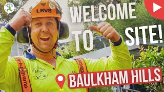 WELCOME TO SITE! - Baulkham Hills - SHANES TREES