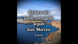 Lectura del santo evangelio según San Marcos 6,30-34