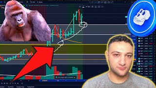 APE coin: Crypto Ready for a breakout in September 2022?