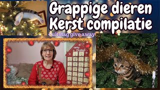 Grappige kerst dieren compilatie en winnaar give away #24 Zoo-cember