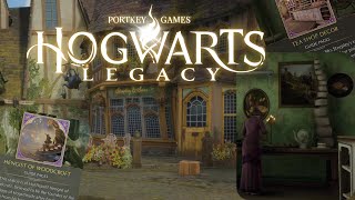 Hogwarts Legacy | Hogsmeade - Steepley and Sons