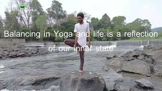 Yoga In Harmony With Nature