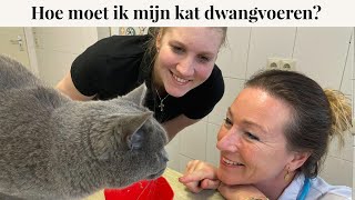 Hoe moet ik mijn kat dwangvoeren? | Instructie video