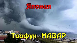 В Японии эвакуируют десятки тысяч человек из-за тайфуна «Мавар»