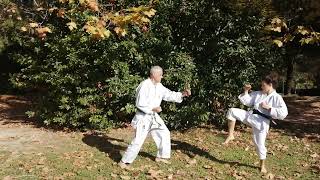 Wado Karatedo: Sanbon Kumite Keri Gohonme.