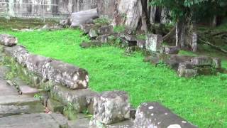 Jungle Temples in Cambodia