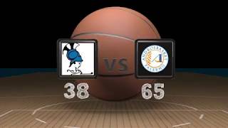 Serie A2 Sud 2018/2019, 30^ giornata: Athena Roma-AndrosBasket 38-65