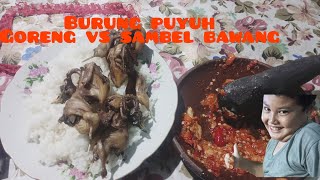 🔴Mantap‼️Berburu burung puyuh langsung goreng vs sambel bawang‼️