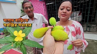 সকালবেলা মটন এর লোভ দেখিয়ে নিম পাতা খাইয়ে দিলো | বাগান বাড়িতে সবজির সমাহার | Home Garden Tour