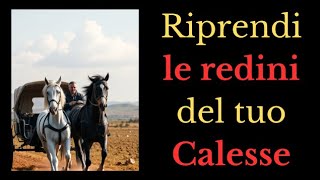 Riprendi le redini del Tuo Calesse! Impara con l'Auto osservazione a tornare Padrone della tua Vita