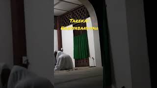 Lihat Murid Tarekat Naqsyabandiyah Ketika Bertemu Gurunya