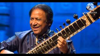 Raag Bageshri gat in teental Ustad Shahid Parvej Khan sitar