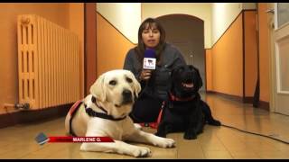 PURINA Y CTAC PRESENTAN EN BILBAO EL PROYECTO "APRENDER JUNTOS ES MEJOR"