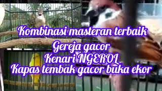 Kombinasi masteran sang juara!!gereja gacor!!kenari ngerol!!kapas tembak gacor#burungmasteran