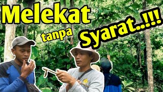 Potensi alam || Pembuktian Kekuatan Pulut(Lem)