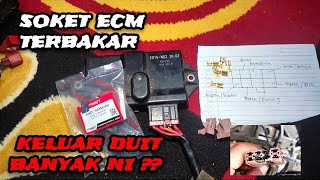 pergantian soket ecu yg sering terbakar pada beat, scoopy, dan vario