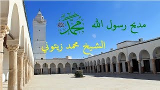 الشيخ محمد زيتوني - مديح فى حب الرسول ﷺ