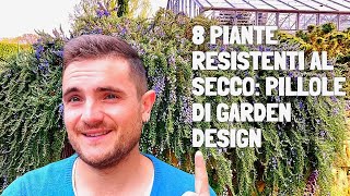 LE MIGLIORI 8 PIANTE RESISTENTI AL SECCO: PILLOLE DI GARDEN DESIGN