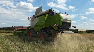 Getreide-Ernte 2016 - Claas Tucano 430 , Lexion 450