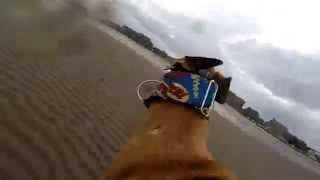 Gryphon meets Lurcher - Portobello Beach