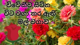 විවේකීව සිටින විට වගා කර ඇති මල් වගාව