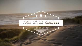 Digging Deeper in the Gospel of John: Oneness